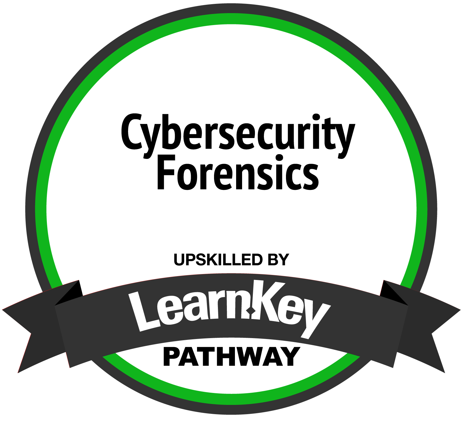 Cybersecurity Forensics