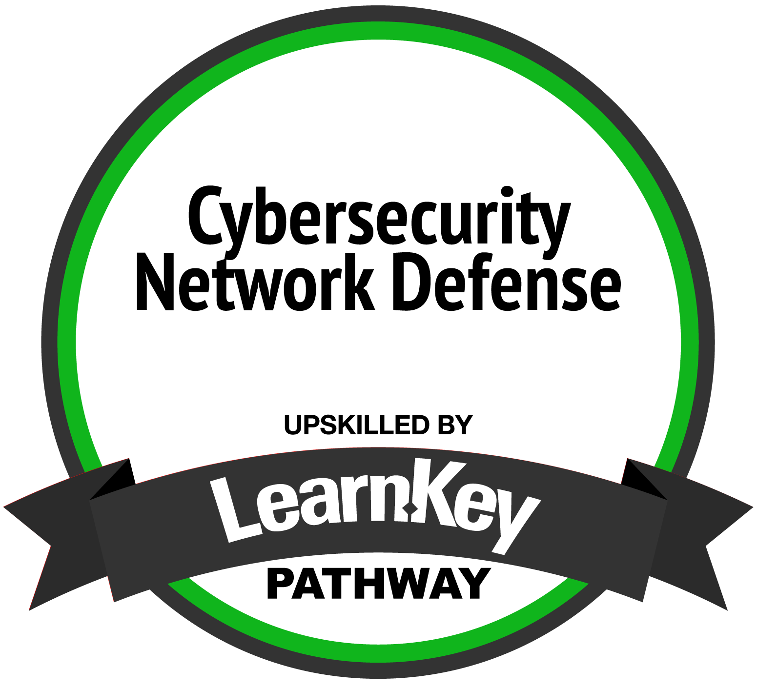 Cybersecurity Network Defense