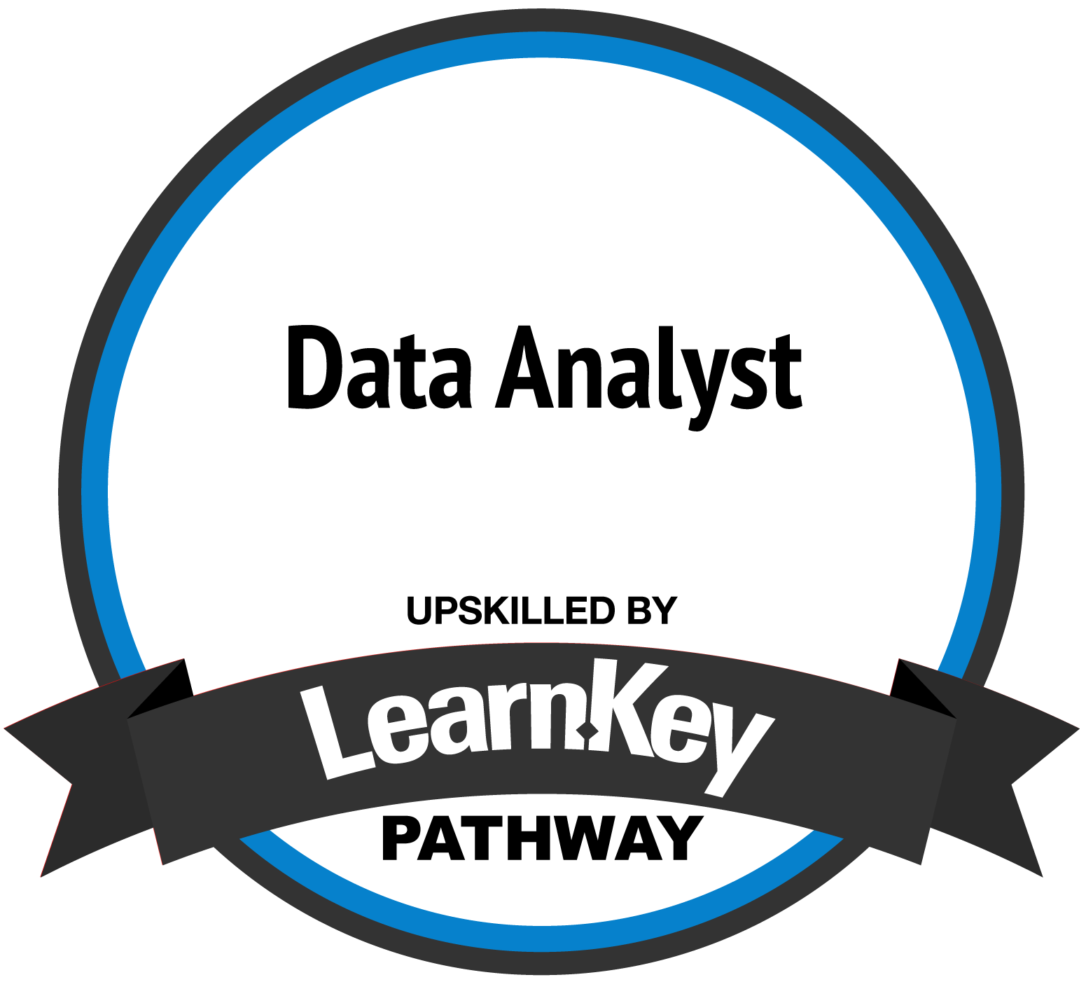 Data Analyst